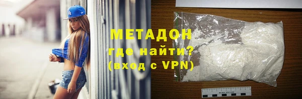 прущие грибы Апатиты