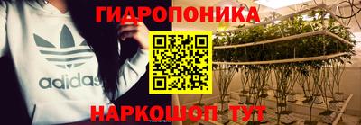 apvp Ипатово