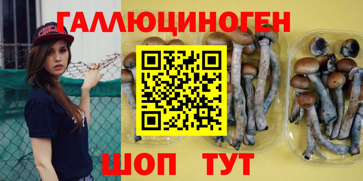 Галлюциногенные грибы Cubensis  Киреевск  Галлюциногенные грибы Psilocybe 