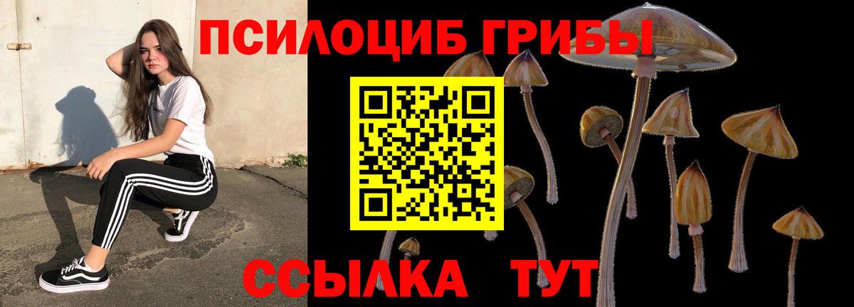 Киреевск  Псилоцибиновые грибы MAGIC MUSHROOMS  Вход с VPN 