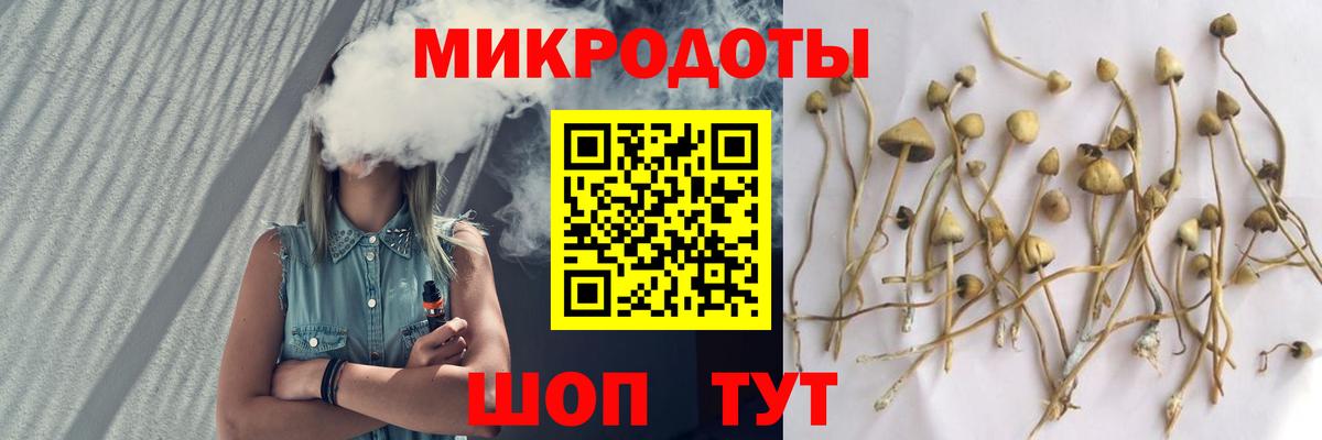 Галлюциногенные грибы прущие грибы Киреевск